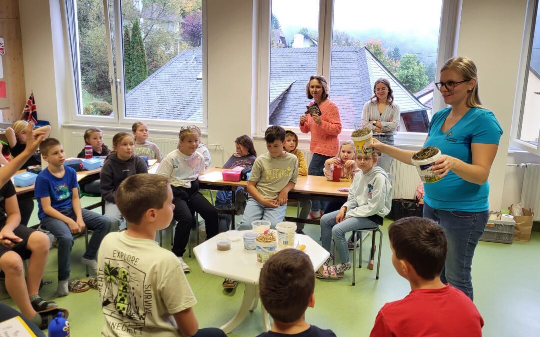 Projektstart: Bauernhof