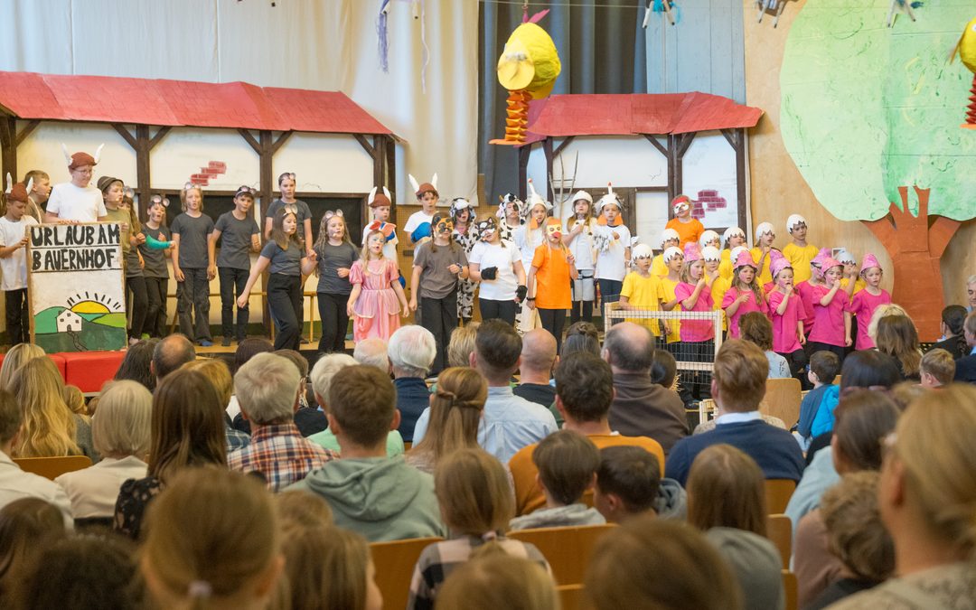 Musical „Schwein gehabt“